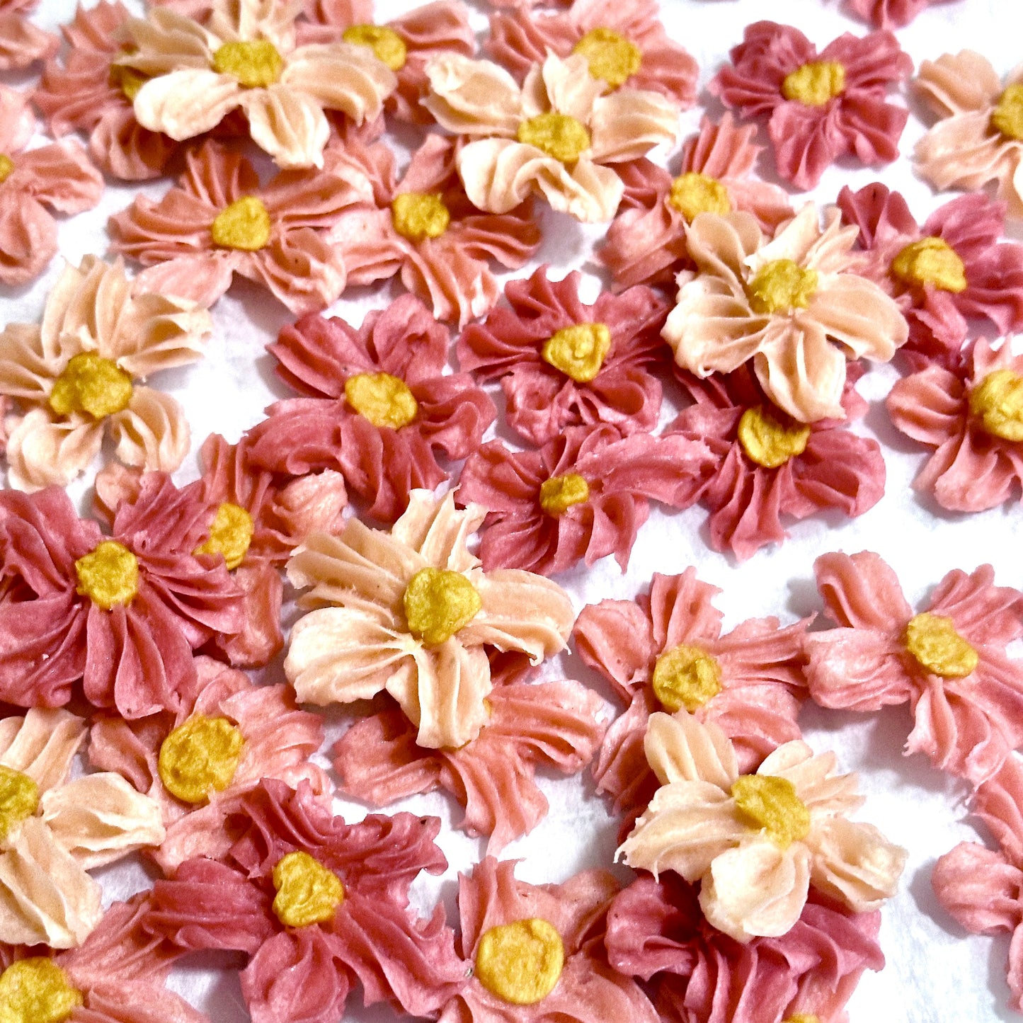 Sakura Cookie | Yam Treat | Low Protein Treats