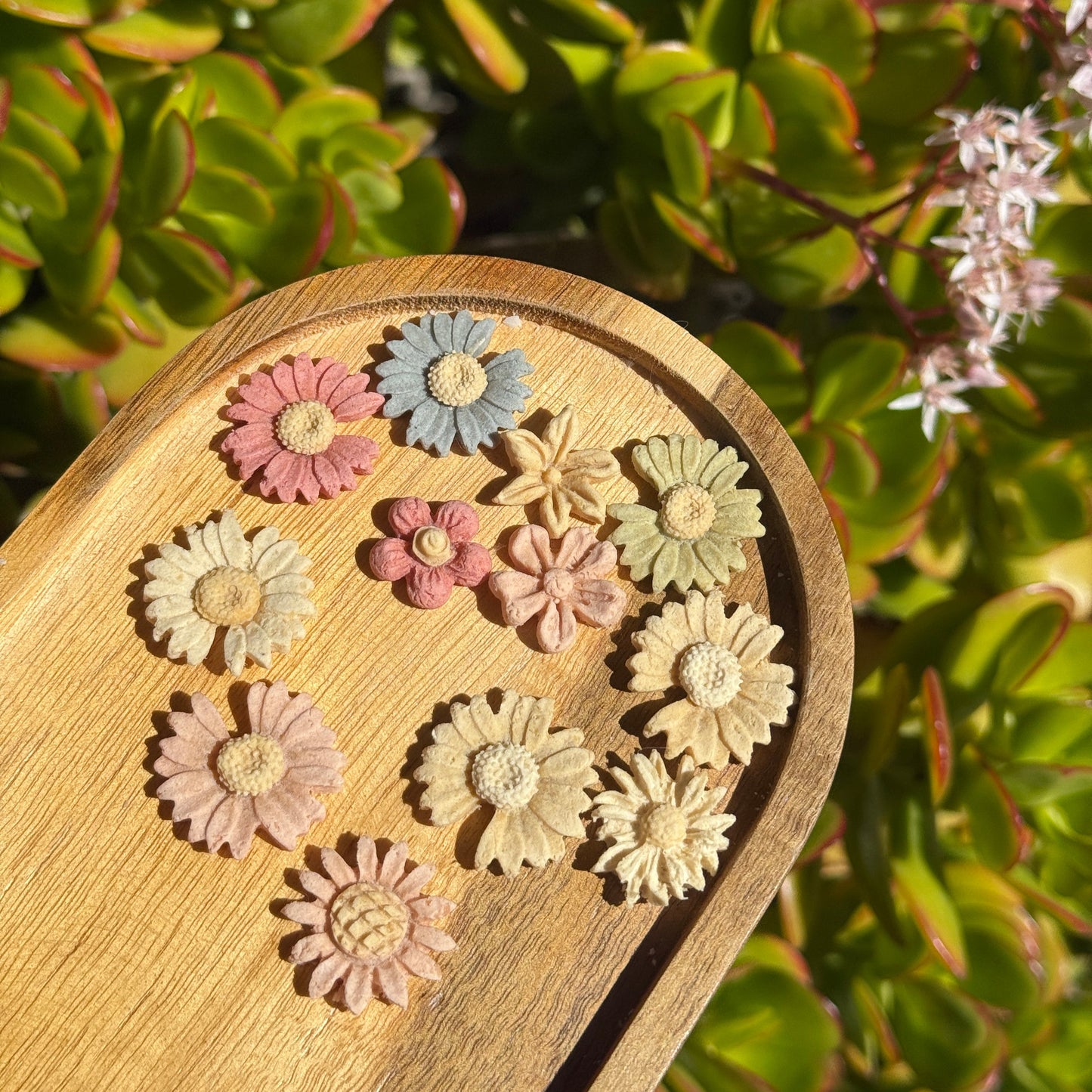 Mini Flower Blossoms | No Grain | For Both Dogs and Cats | 15pcs
