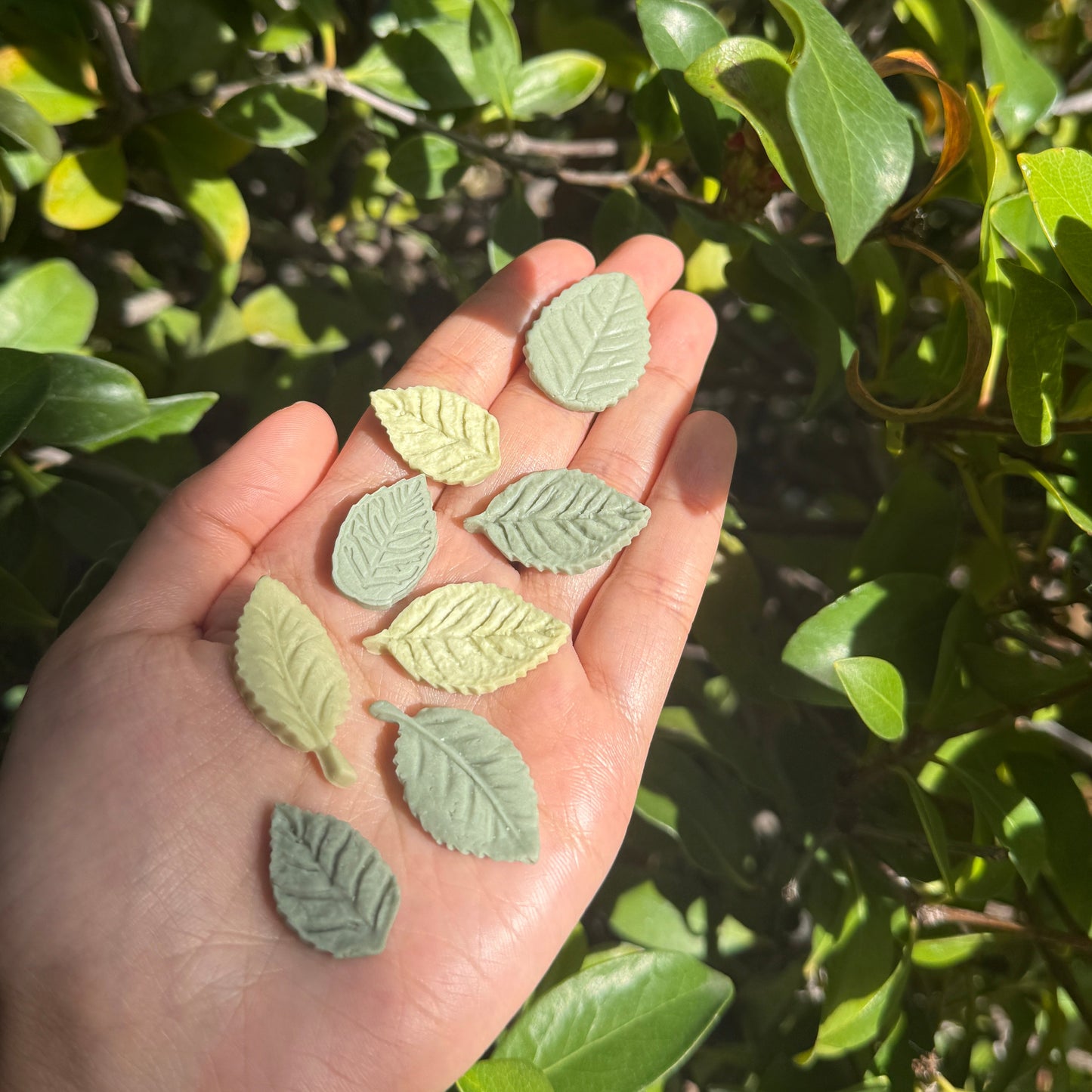 Leaf Bites | No Grain | For Both Dogs and Cats | 15pcs