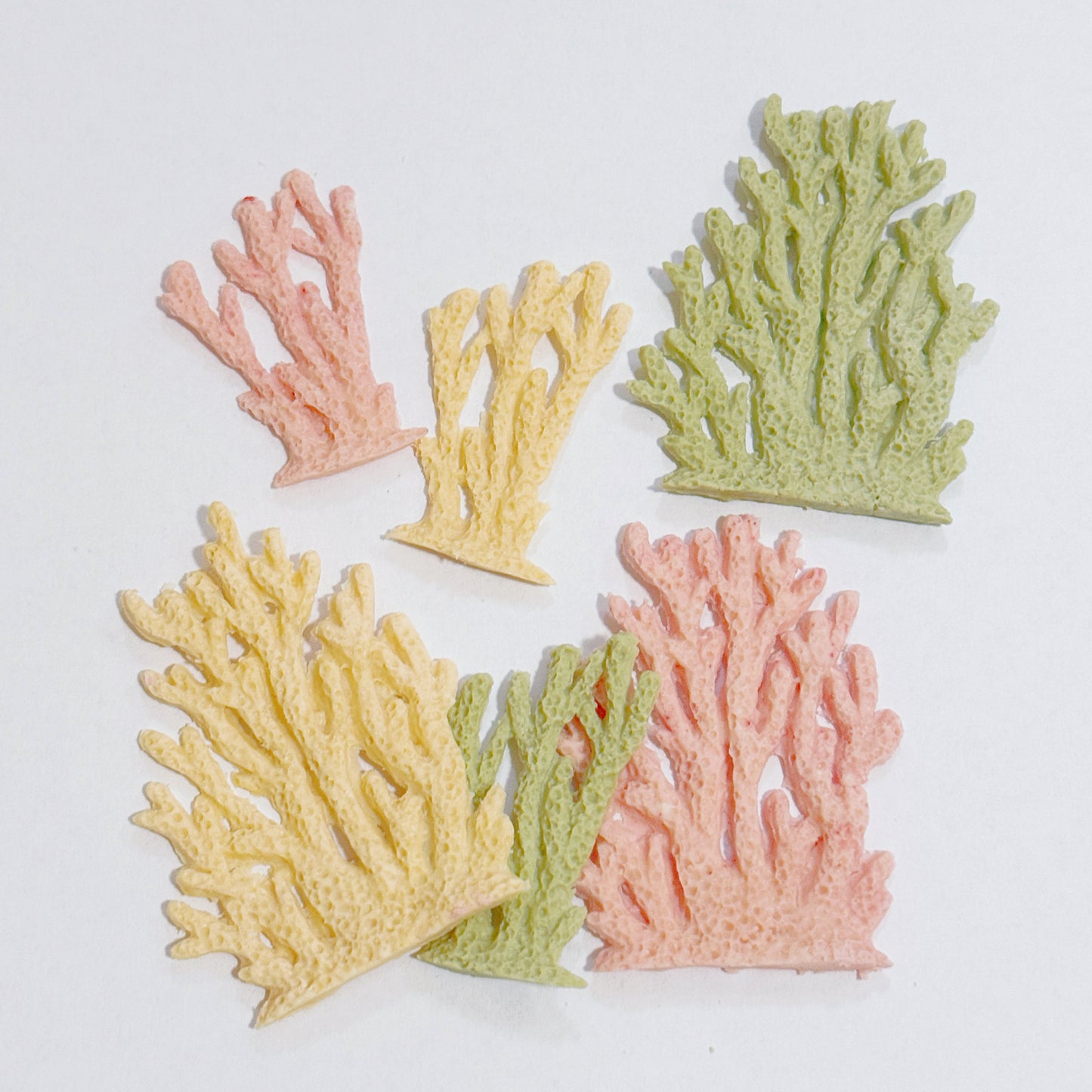 Coral Bites | No Grain | Both Dogs and Cats Friendly | 6pcs