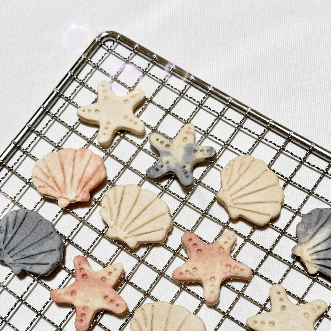 Sea Shell Pet Cookies | Chicken Meat | Perfect Enrichment Decoration
