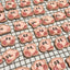 Dog Cookies | Kirby | Pink Designed Pet Treats