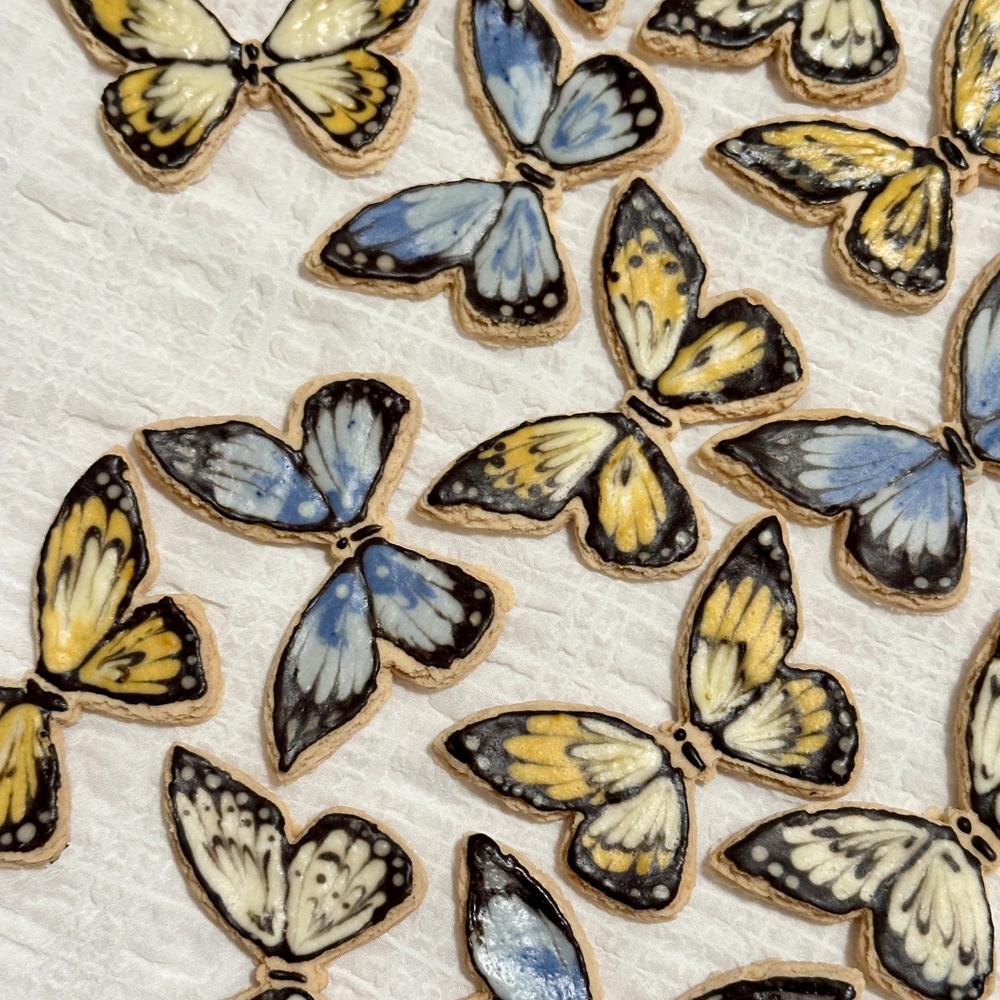 Butterflies Pet Cookies | Handmade all natural Pet Cookies