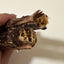 Dehydrated Whole Duck Neck | Dog Chew