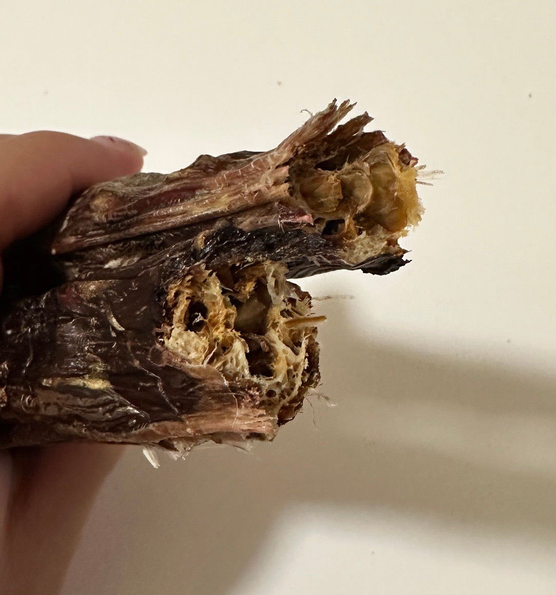 Dehydrated Whole Duck Neck | Dog Chew