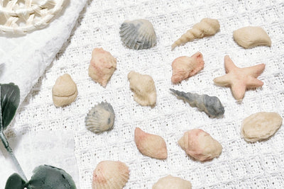Sea Shell Pet Treat | Chicken Meat | Dogs and Cats friendly