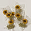 Sunflower Chicken Biscuits, Healthy Dog Treat, Contain Chicken Liver