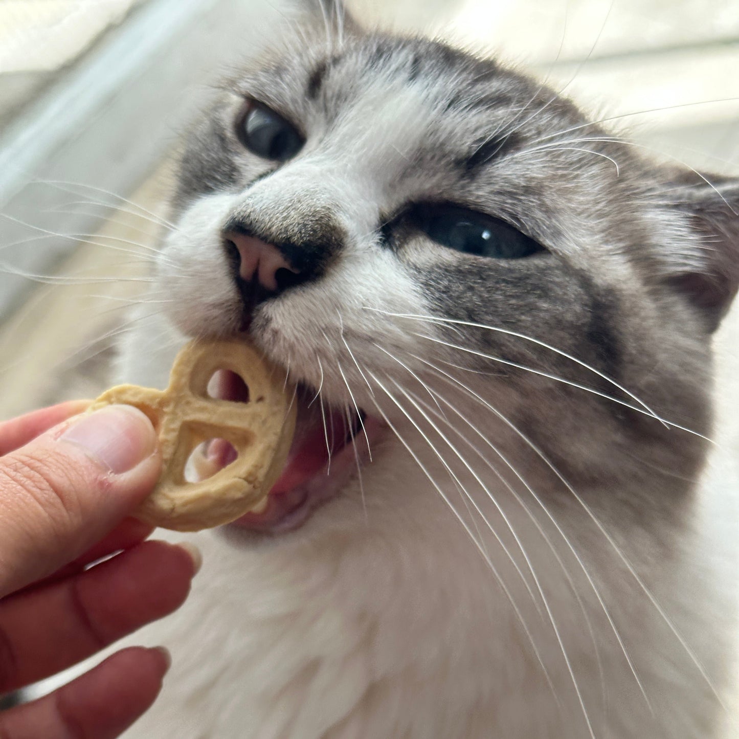 Pet Danish Cookies