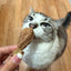 Big Turkey Drumstick | 1pc