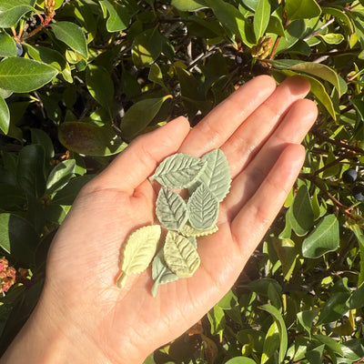 Leaf Bites | No Grain | For Both Dogs and Cats | 15pcs