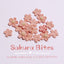 Sakura Bites | No Grain | For Both Dogs and Cats | 20pcs