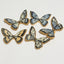 Butterflies Pet Cookies | Handmade all natural Pet Cookies