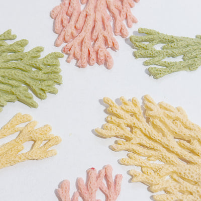 Coral Bites | No Grain | Both Dogs and Cats Friendly | 6pcs