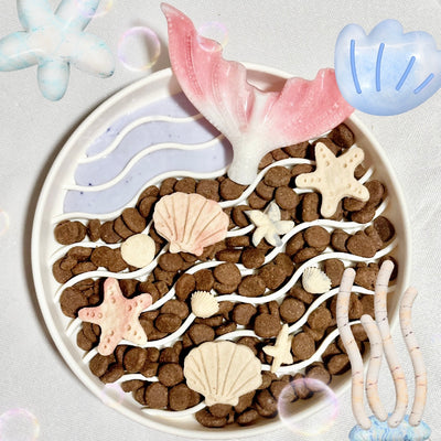 Sea Shell Pet Cookies | Chicken Meat | Perfect Enrichment Decoration