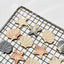 Sea Shell Pet Cookies | Chicken Meat | Perfect Enrichment Decoration
